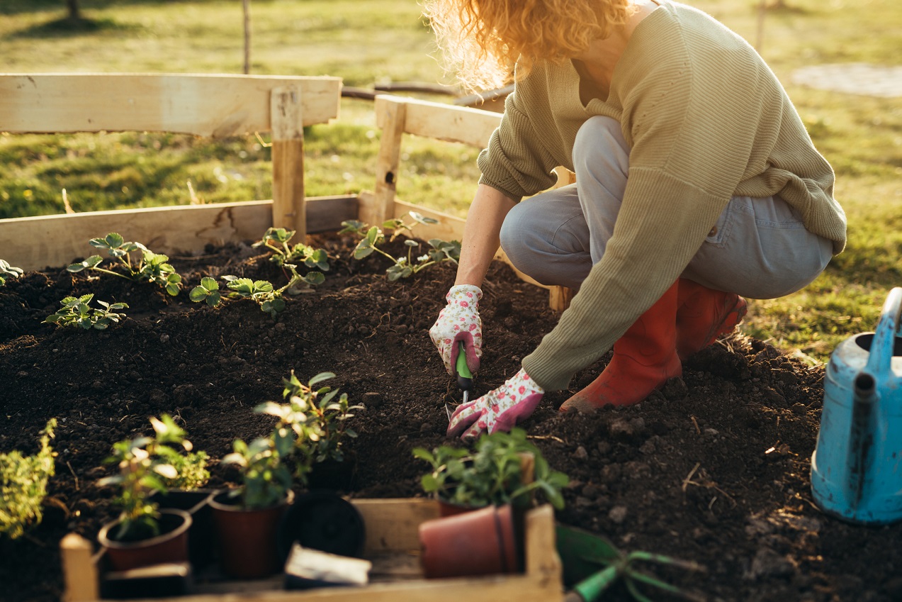 A woman squatting down to plant in her garden