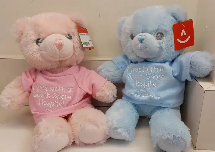 born at south shore hospital bear