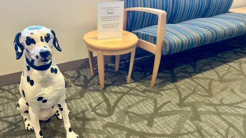 A statue of a Dalmatian watches over the waiting room in the pediatrics department